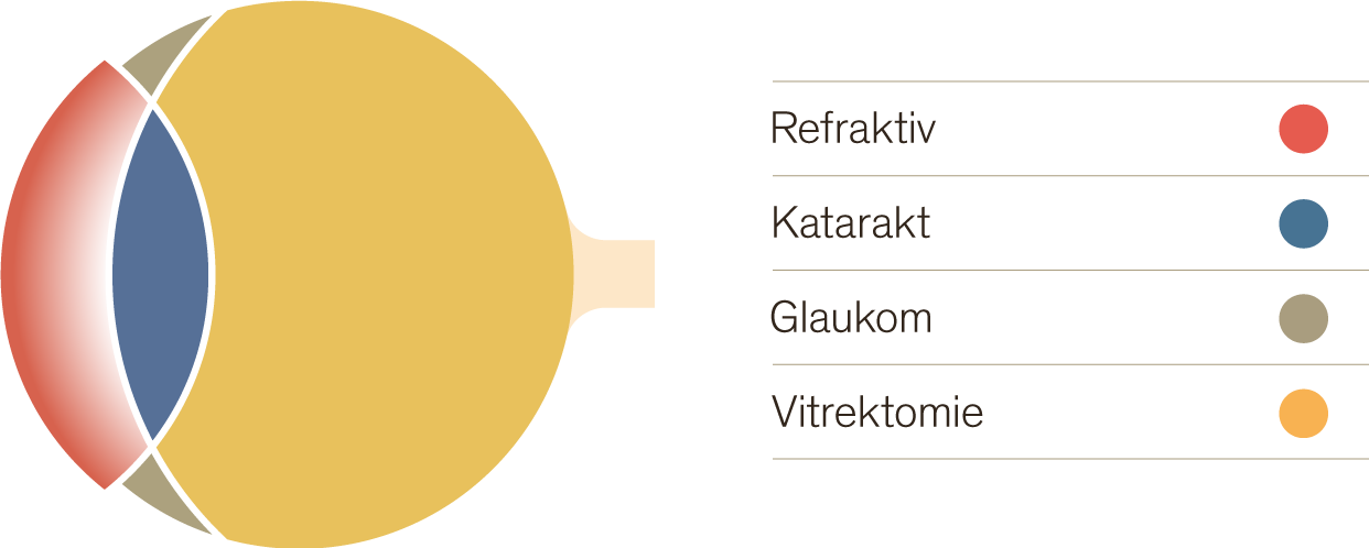 Augenschema